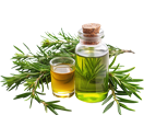 tea-tree-oil