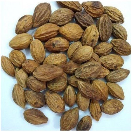 Deekshaveda Ayurvedic