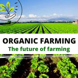 Untitled design (46)